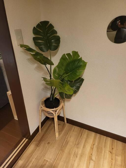 5minutes From Shinjuku Shin-okubo Station-k105 *